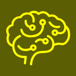 untitled design 2026 01 29t114728.047